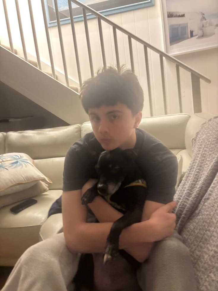 Photo in Sitter's gallery