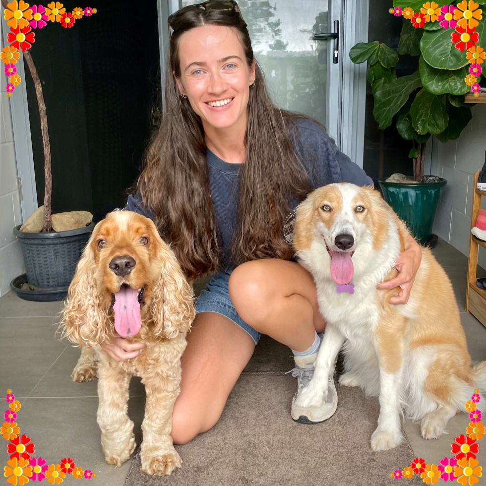 Photo in Sitter's gallery