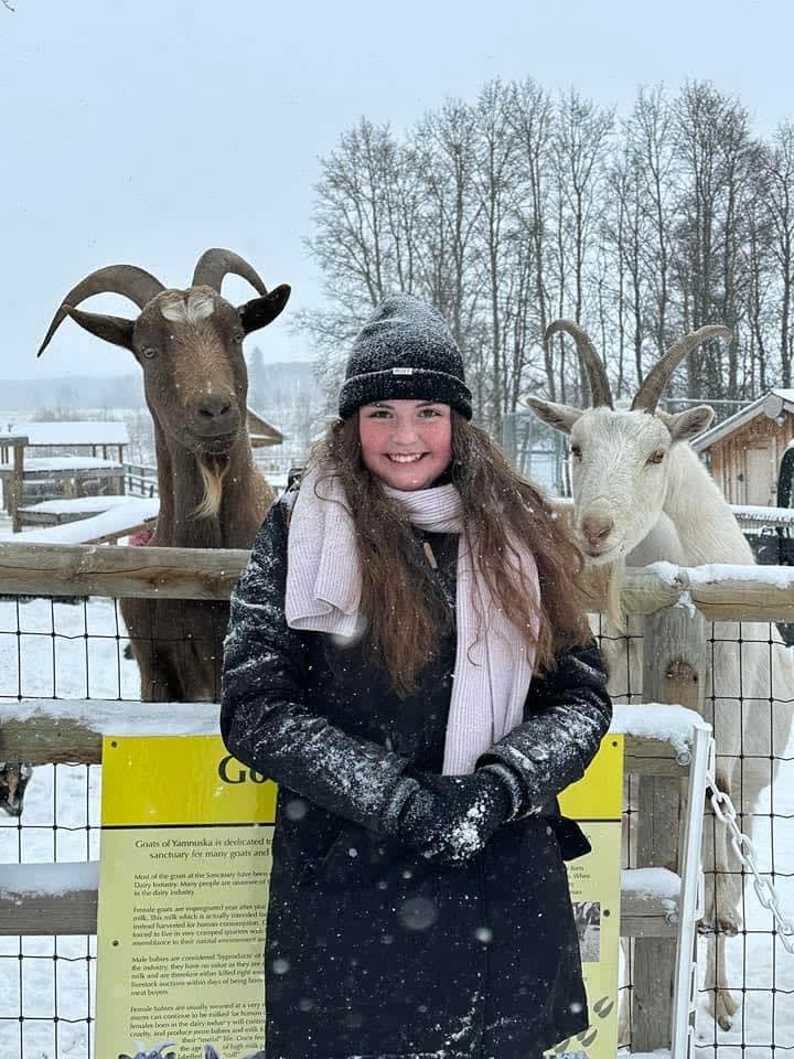 Photo in Sitter's gallery