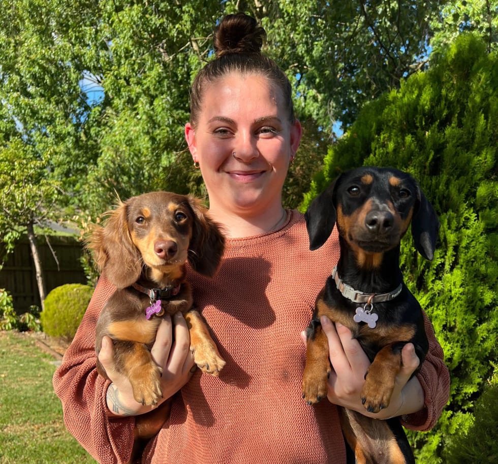 Photo in Sitter's gallery