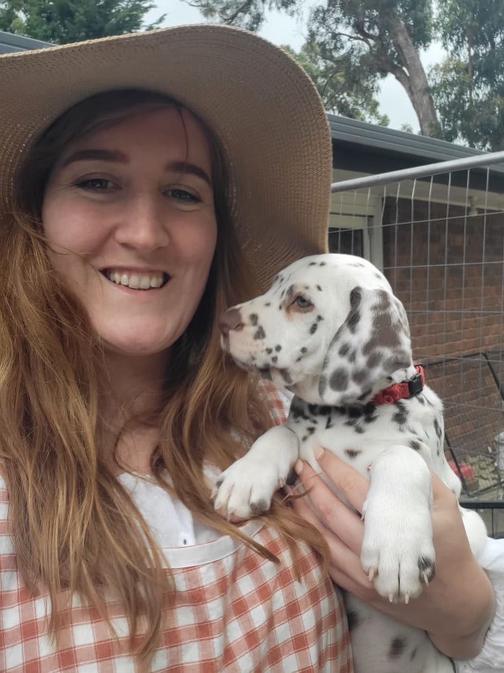 Photo in Sitter's gallery