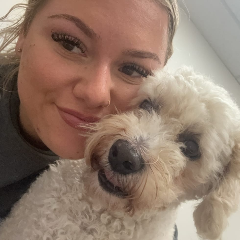 Photo in Sitter's gallery