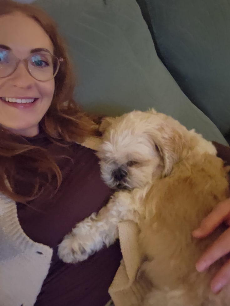 Photo in Sitter's gallery