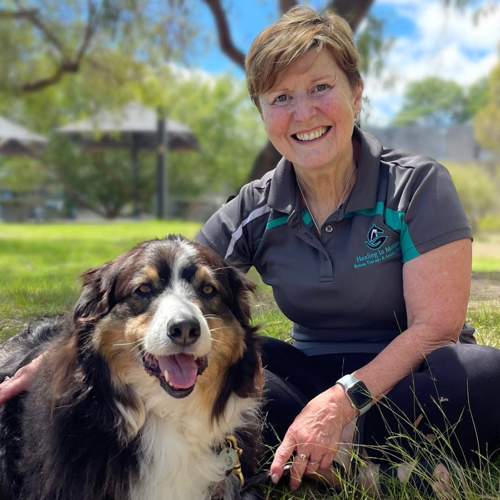 Photo in Sitter's gallery