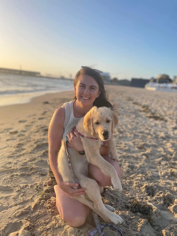 Photo in Sitter's gallery