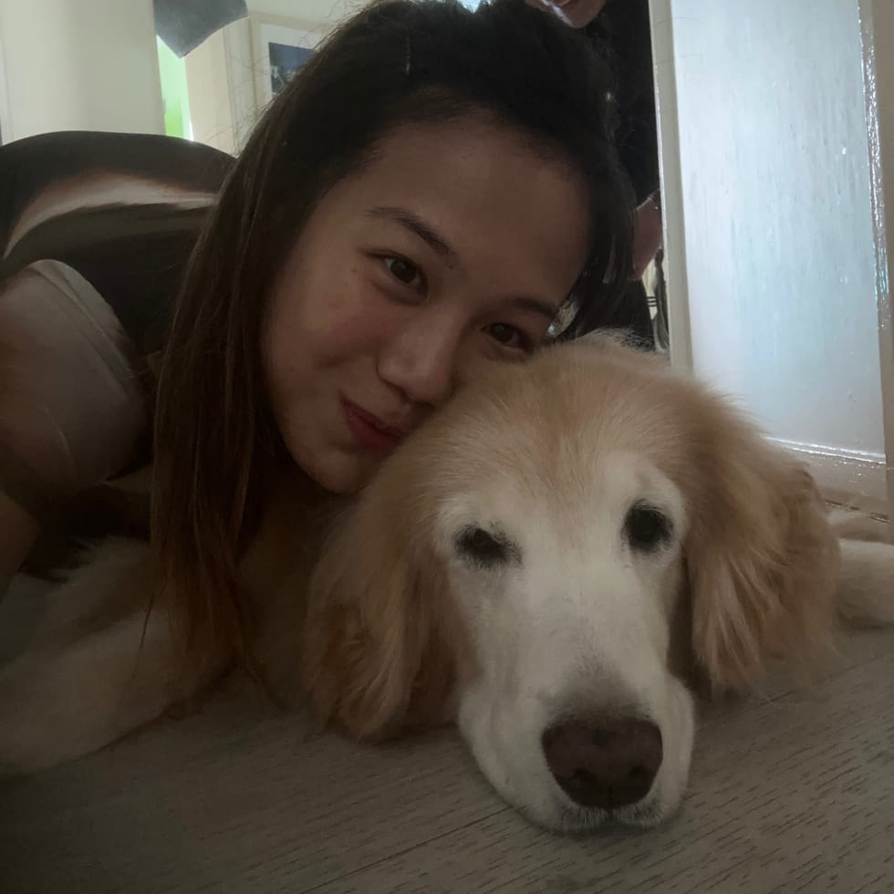 Photo in Sitter's gallery