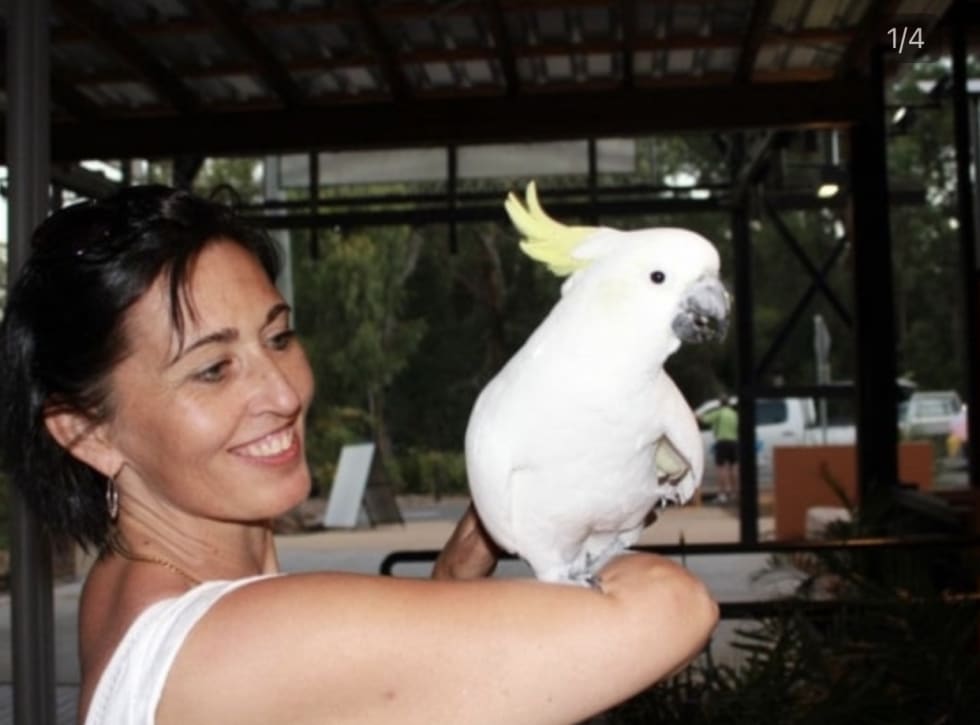 Photo in Sitter's gallery