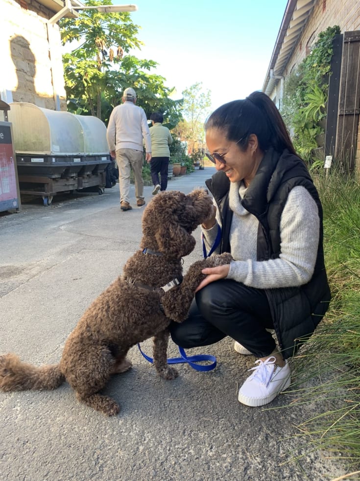 Photo in Sitter's gallery