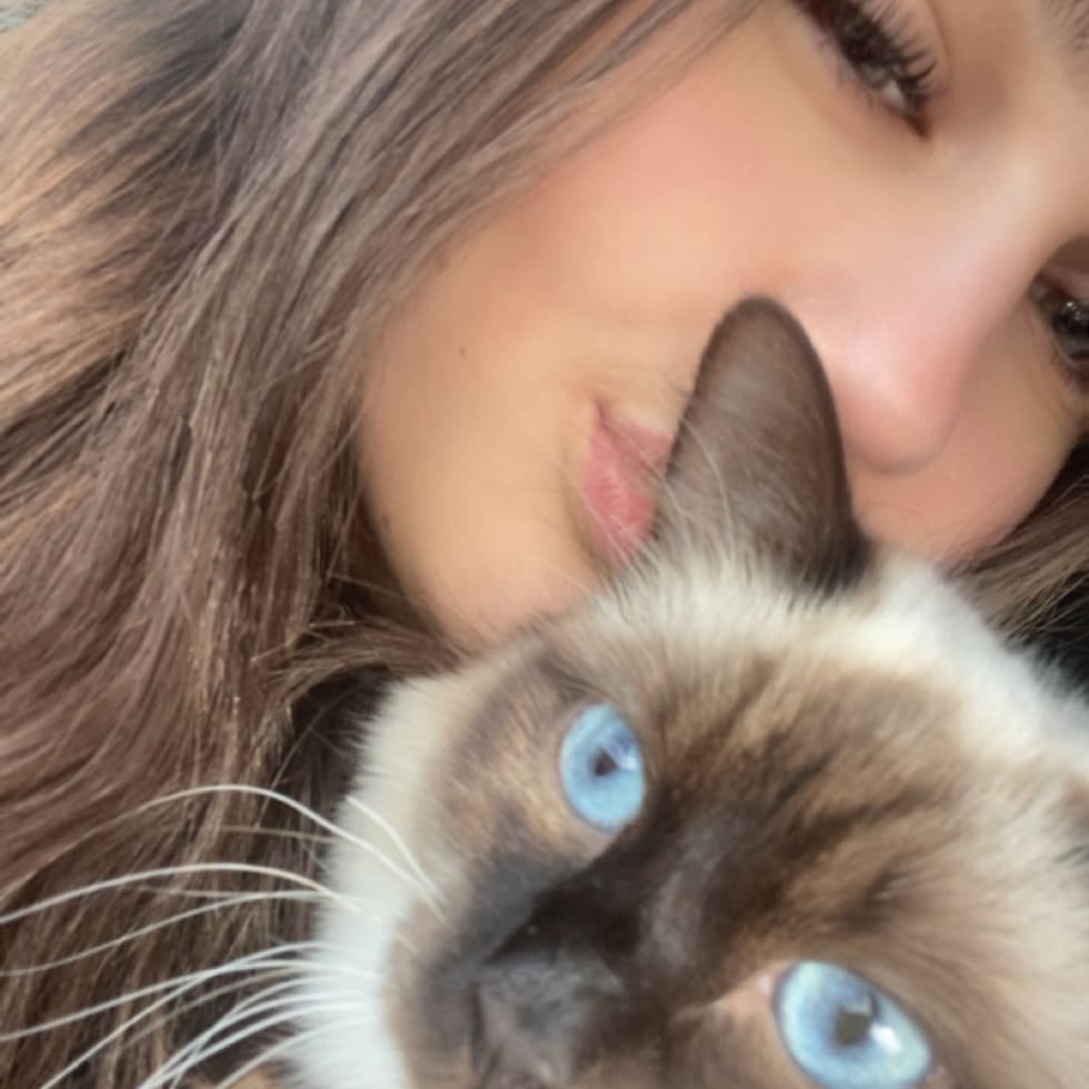 Photo in Sitter's gallery