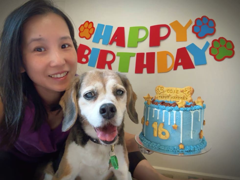 Photo in Sitter's gallery