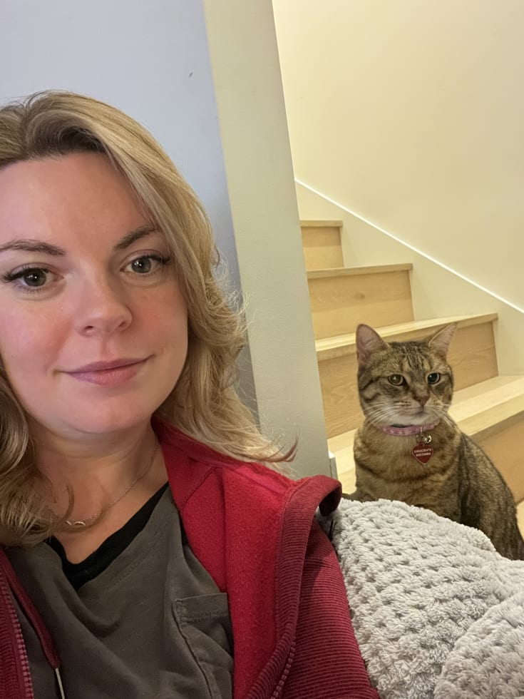 Photo in Sitter's gallery