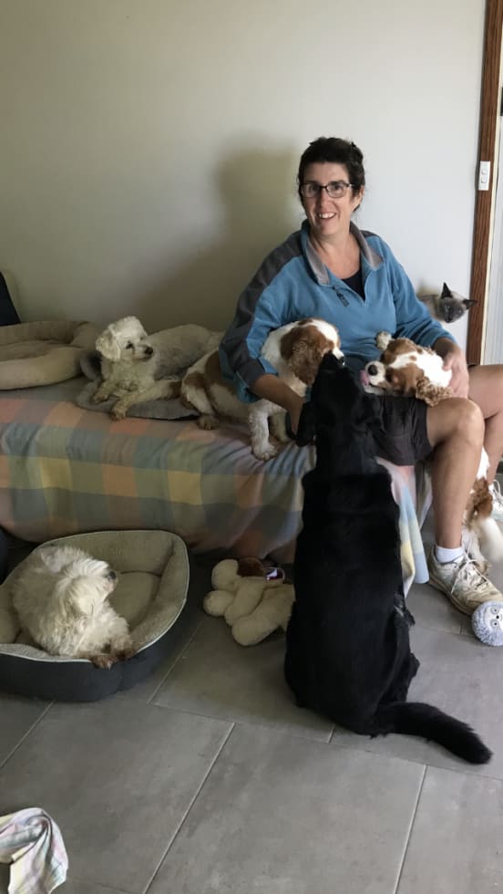 Photo in Sitter's gallery