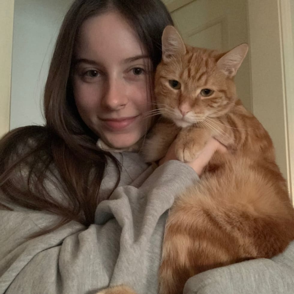 Photo in Sitter's gallery