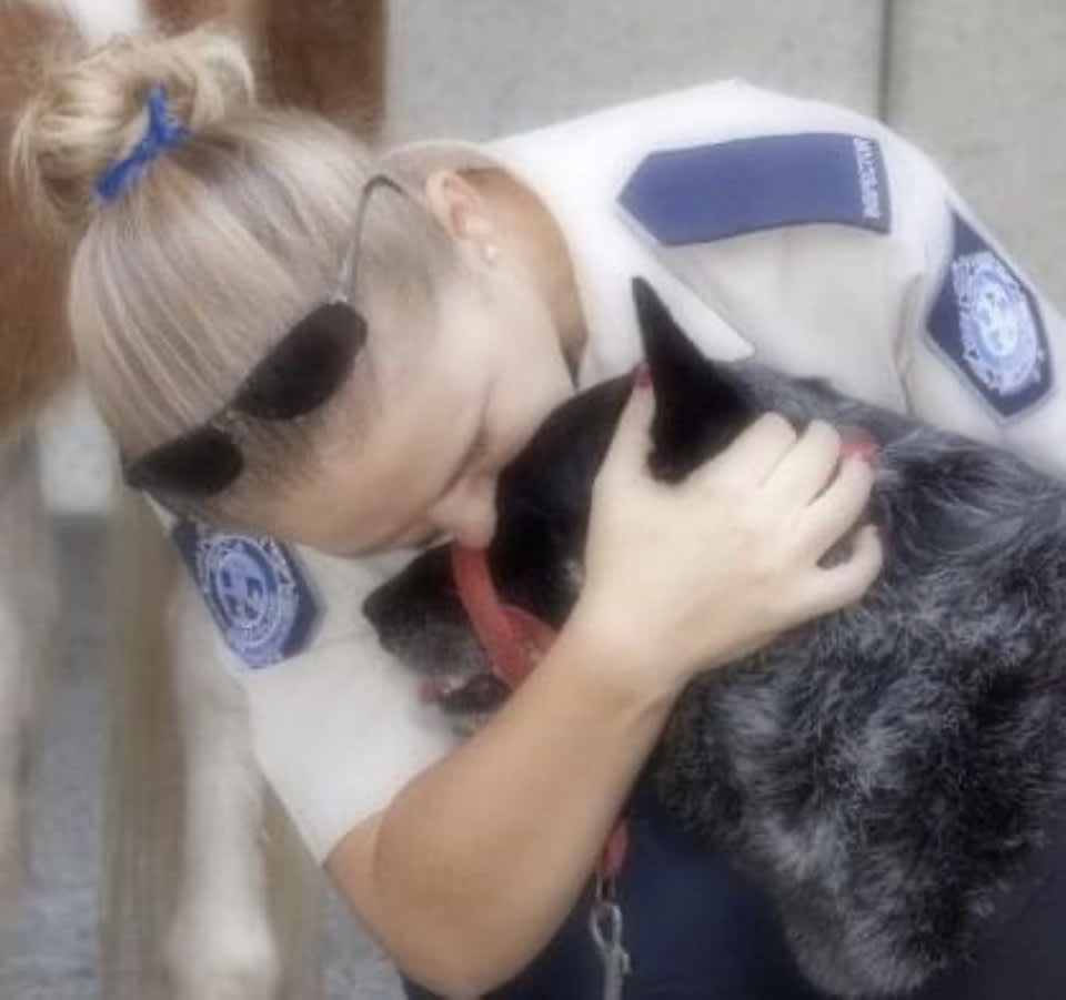 Photo in Sitter's gallery