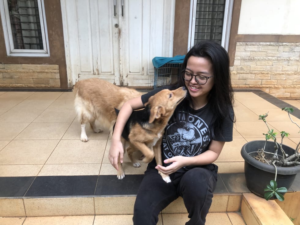 Adinda P. - Pet Sitter in Melbourne VIC - Mad Paws Adinda P. - Pet Sitter in Melbourne VIC - Mad Paws