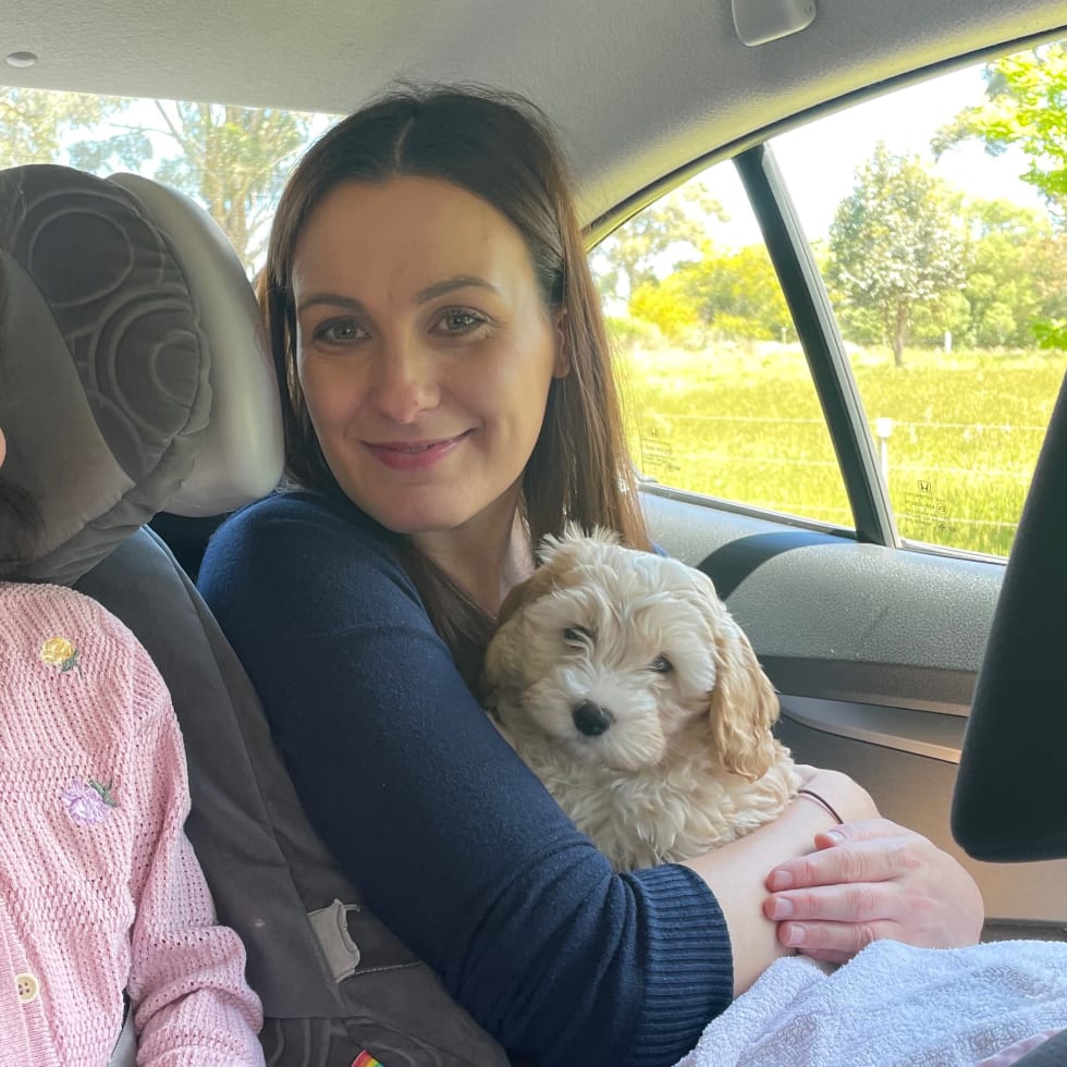 Photo in Sitter's gallery