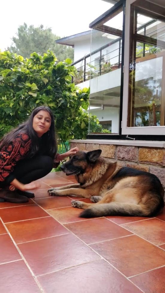 Photo in Sitter's gallery