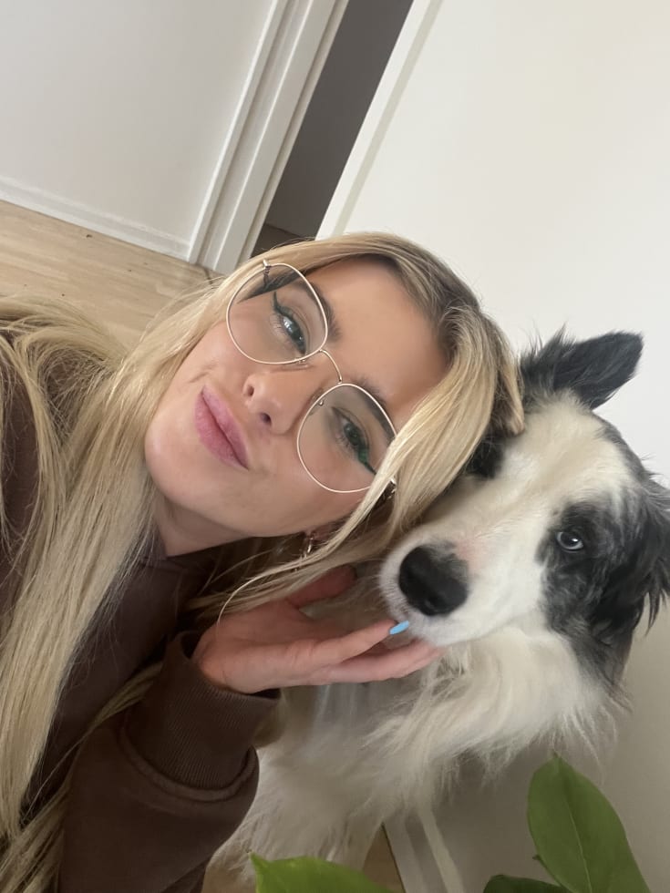 Photo in Sitter's gallery