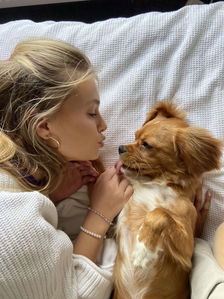 Photo in Sitter's gallery