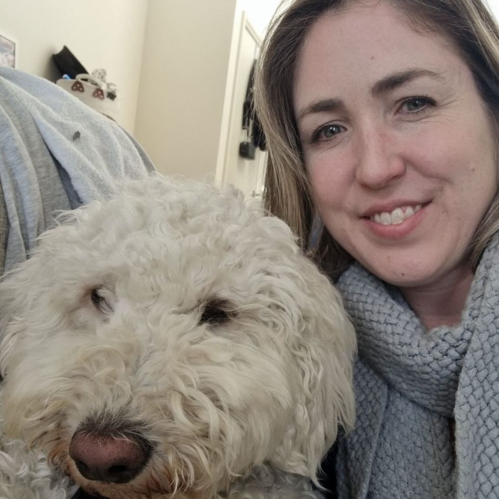 Photo in Sitter's gallery