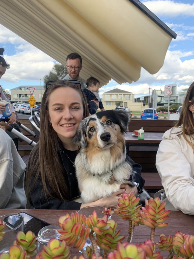 Photo in Sitter's gallery