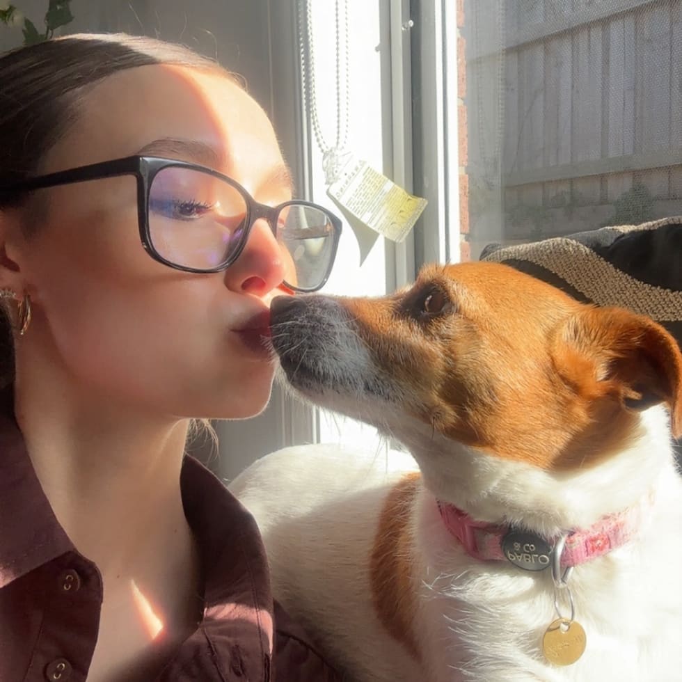 Photo in Sitter's gallery