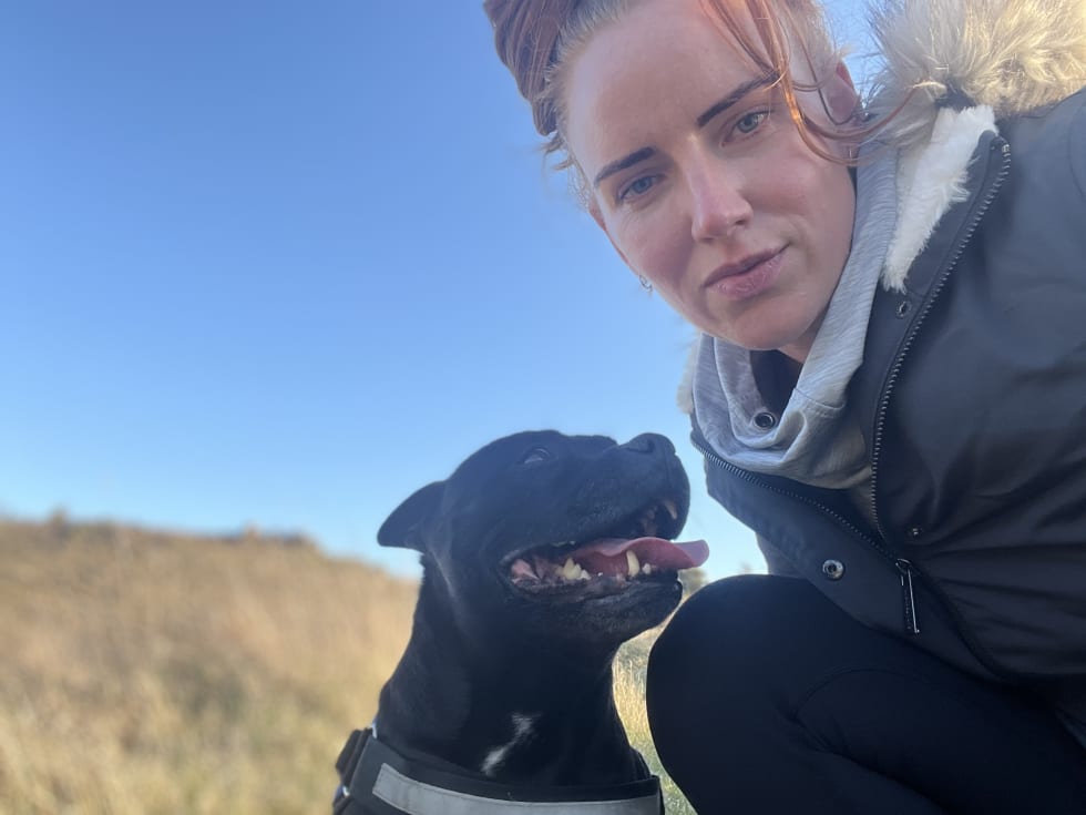 Photo in Sitter's gallery