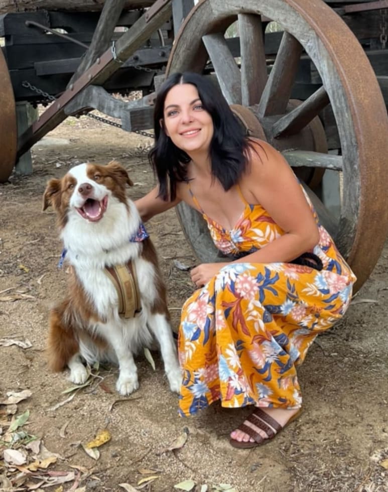 Photo in Sitter's gallery