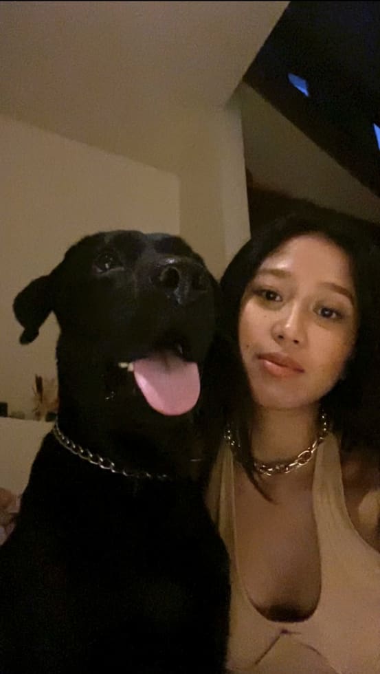 Photo in Sitter's gallery