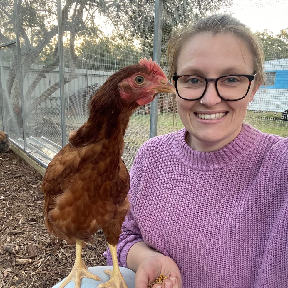 Photo in Sitter's gallery