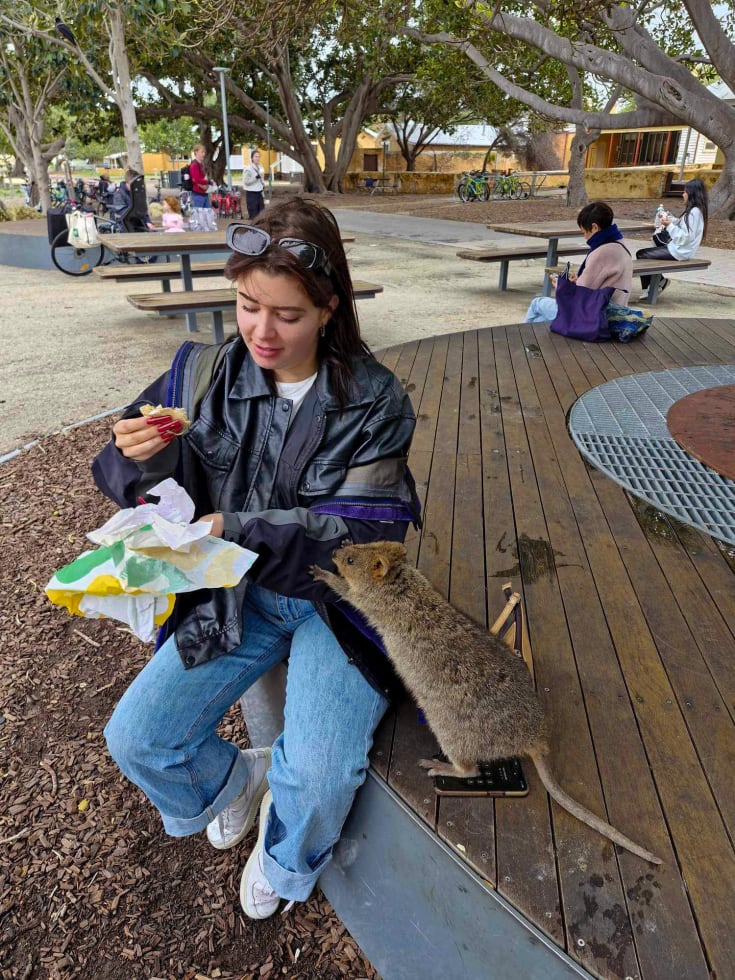 Photo in Sitter's gallery