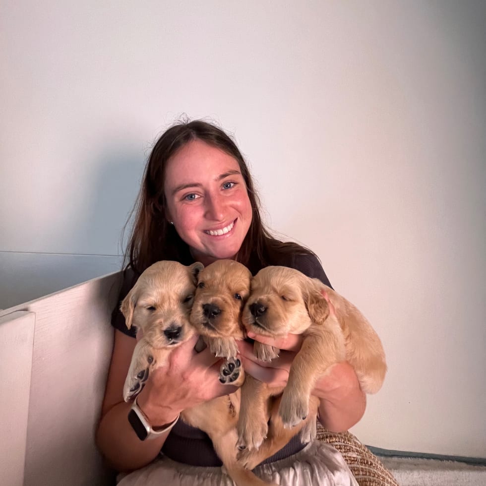 Photo in Sitter's gallery