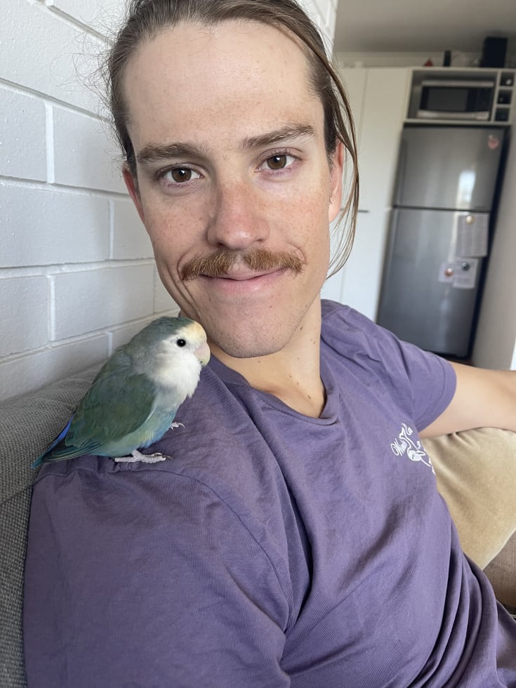 Photo in Sitter's gallery