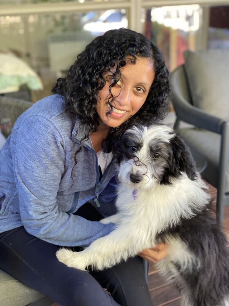 Photo in Sitter's gallery