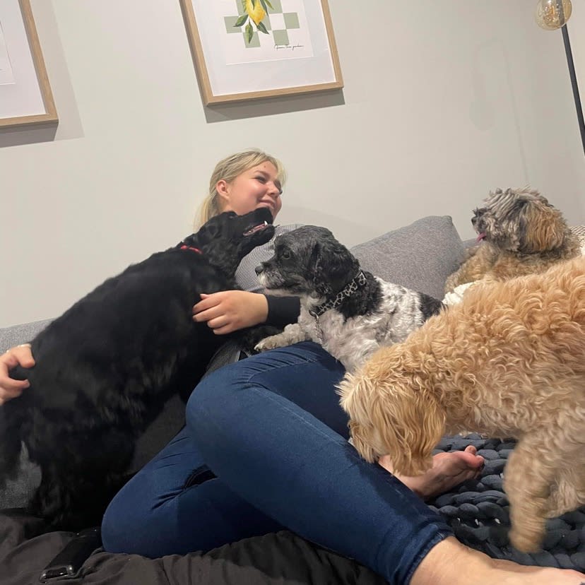 Photo in Sitter's gallery