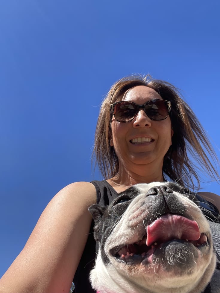 Photo in Sitter's gallery