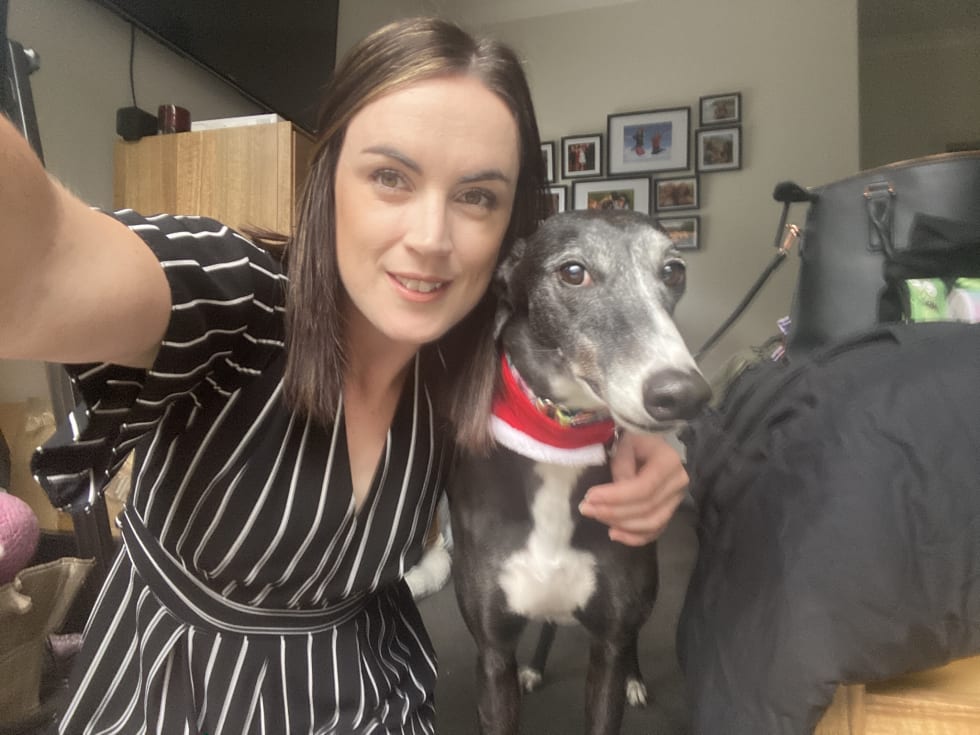 Photo in Sitter's gallery