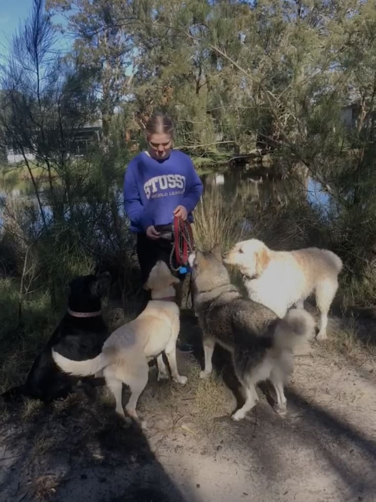 Photo in Sitter's gallery