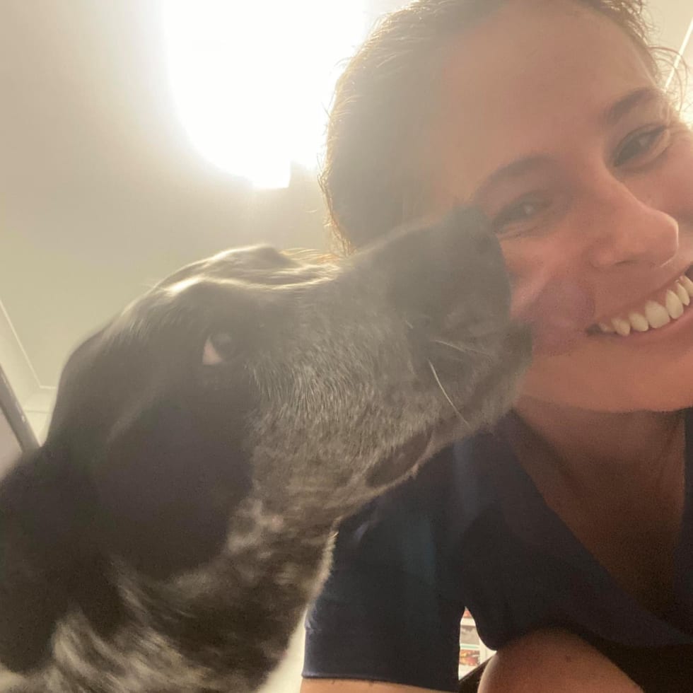 Photo in Sitter's gallery