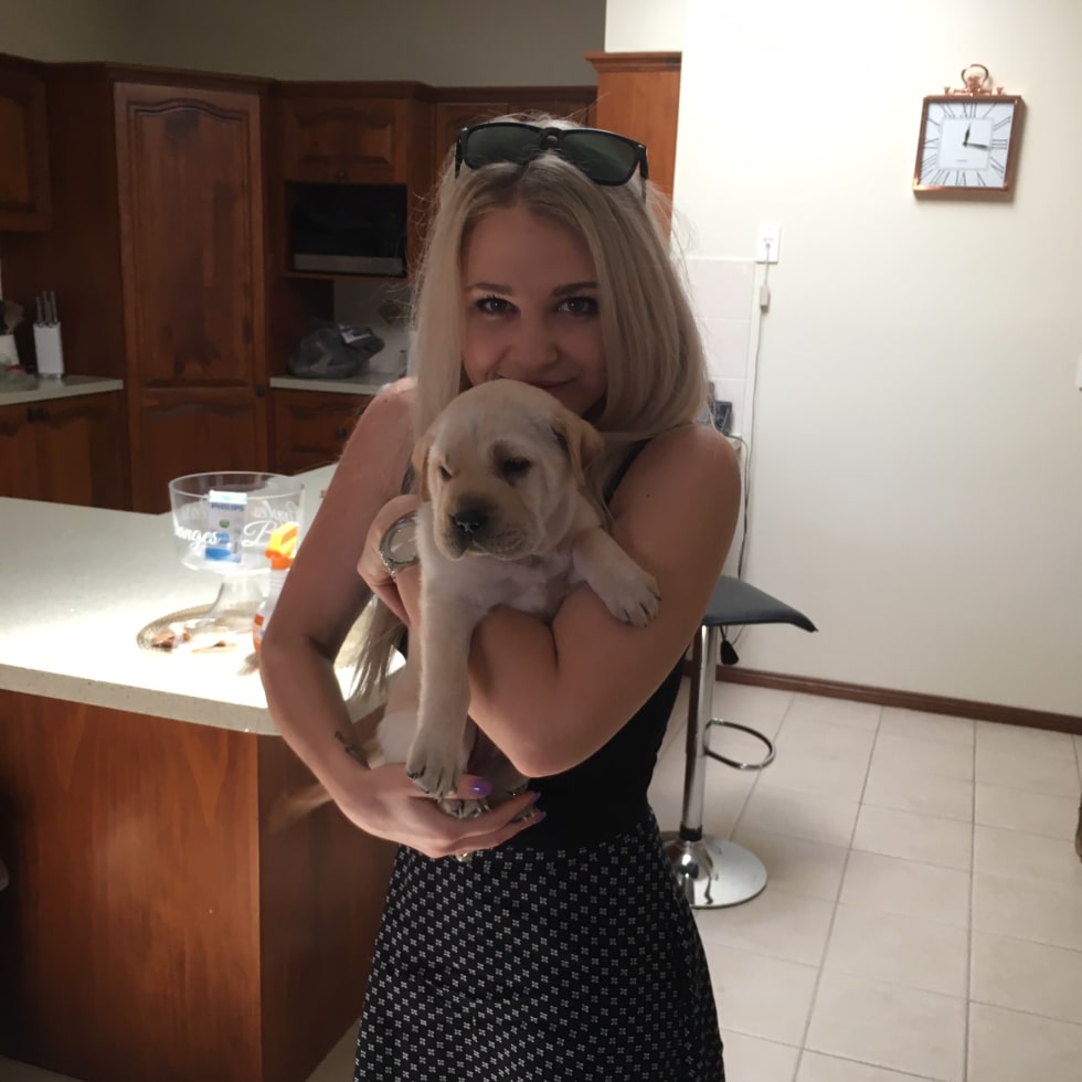 Photo in Sitter's gallery