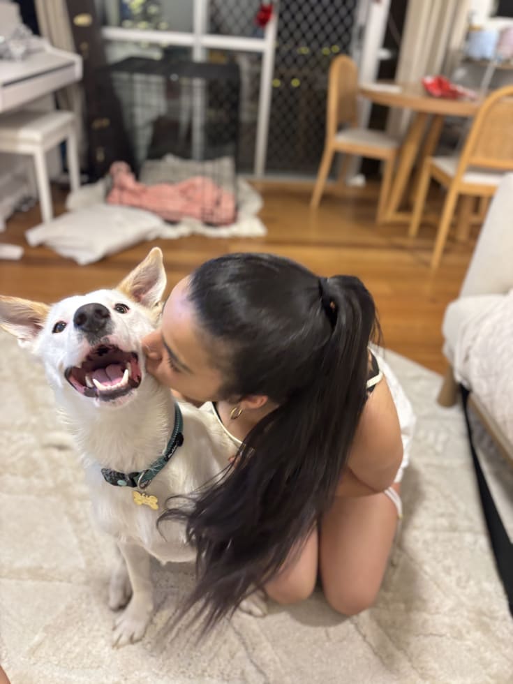 Photo in Sitter's gallery