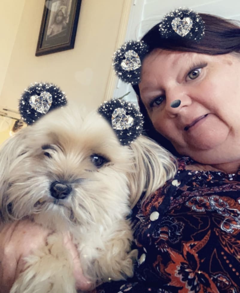 Photo in Sitter's gallery