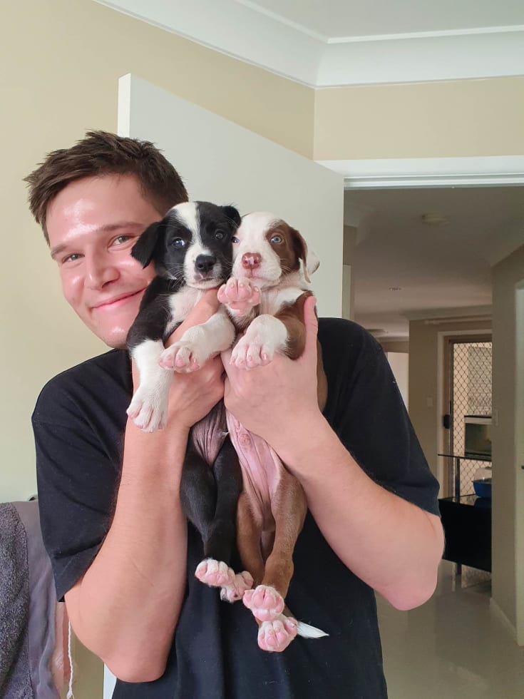 Photo in Sitter's gallery