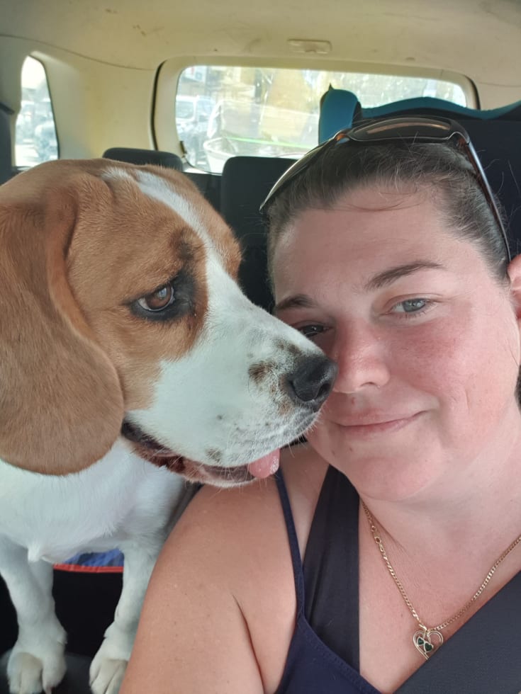 Photo in Sitter's gallery