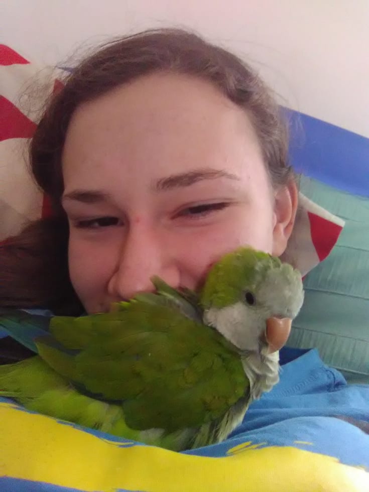 Photo in Sitter's gallery