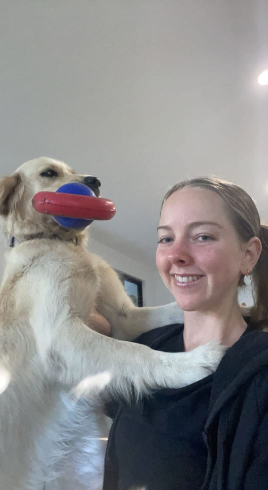 Photo in Sitter's gallery