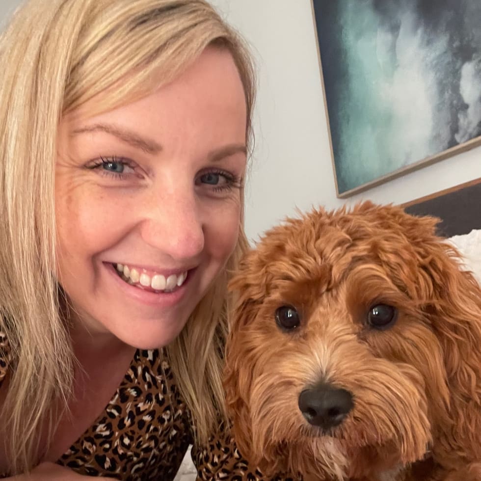 Photo in Sitter's gallery