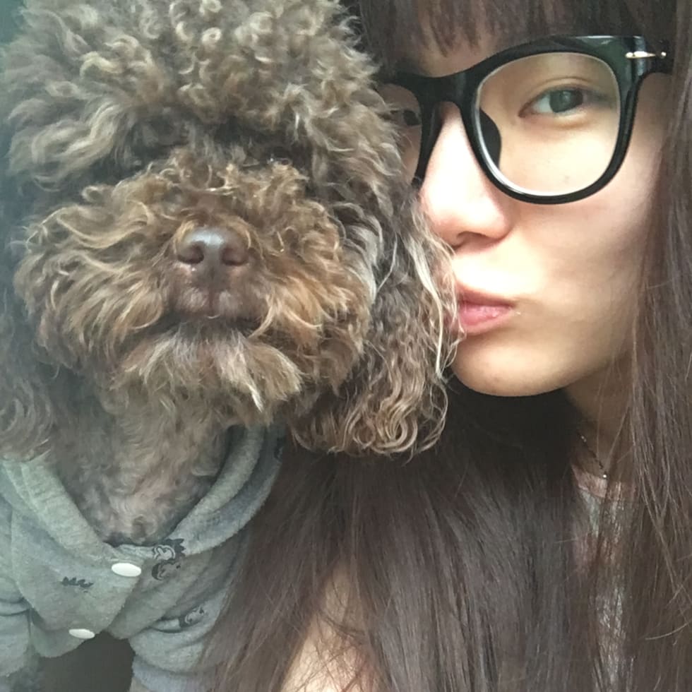 Photo in Sitter's gallery