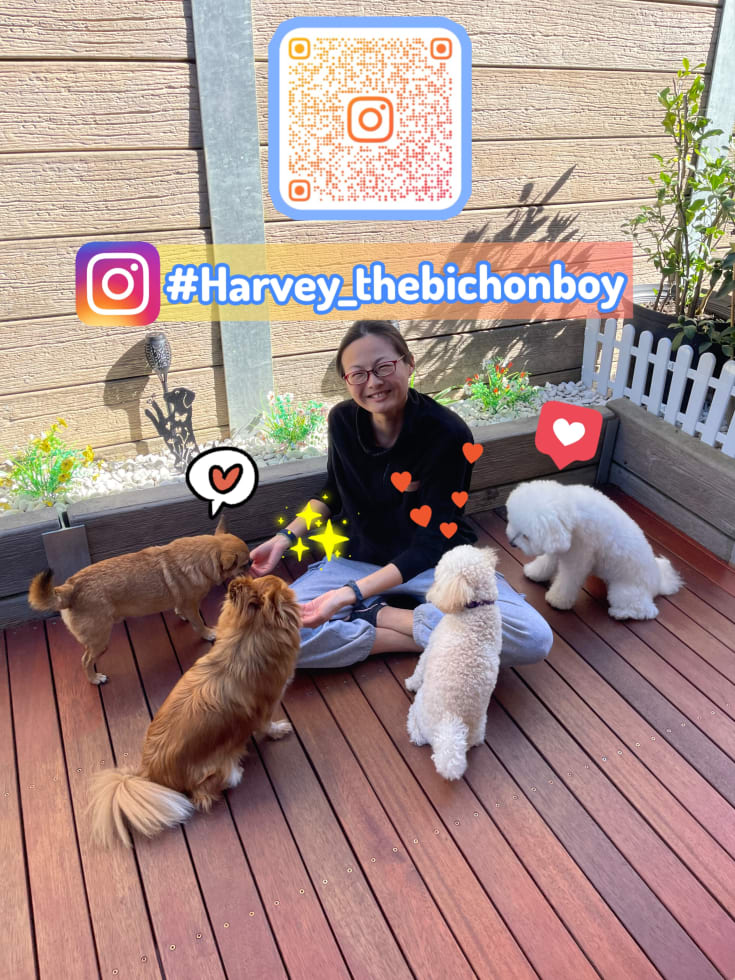 Photo in Sitter's gallery