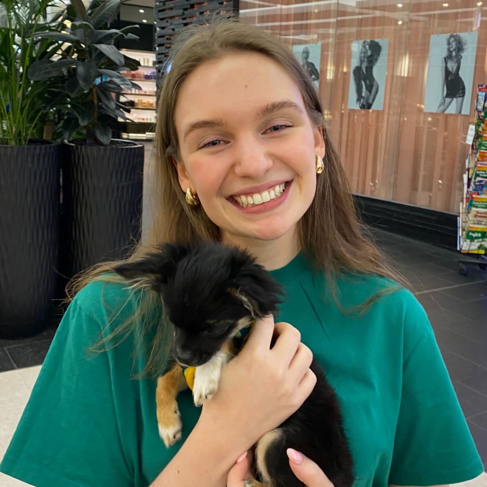 Photo in Sitter's gallery